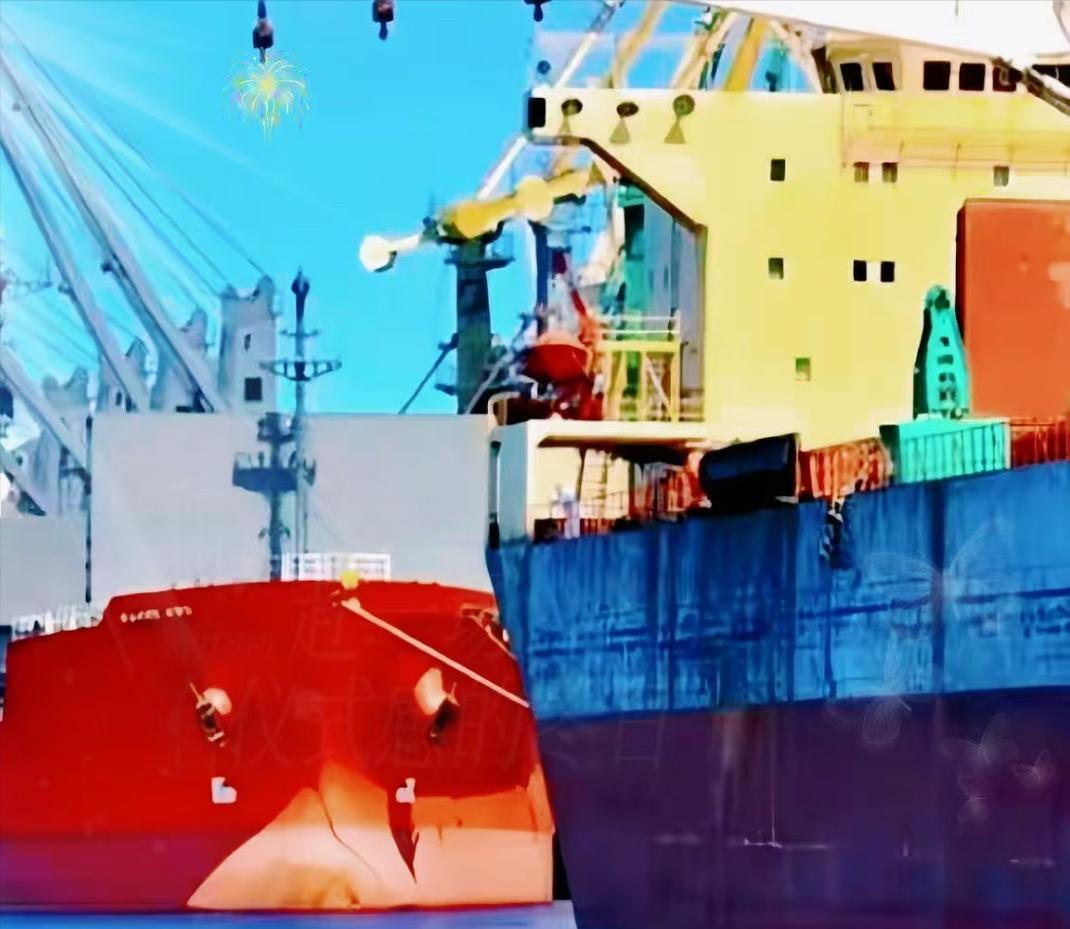 一艘满载6.9万吨巴西大豆运到家门口，被我们原路退回！
 
这批被拒的大豆中，混