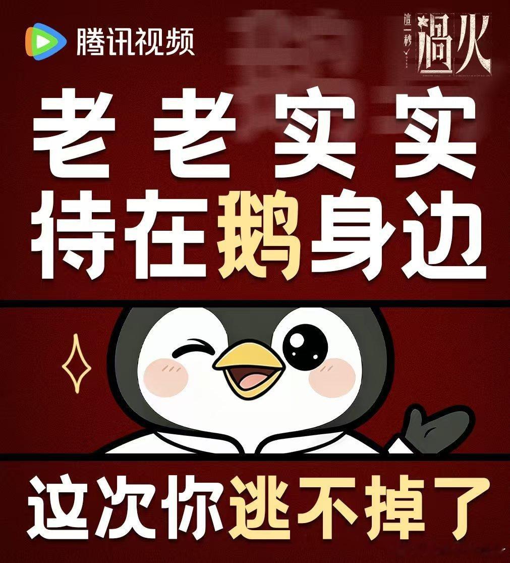 腾讯送张凌赫王楚然99999份追剧卡海量追剧卡搭配趣味表情包，《这一秒过火》必追