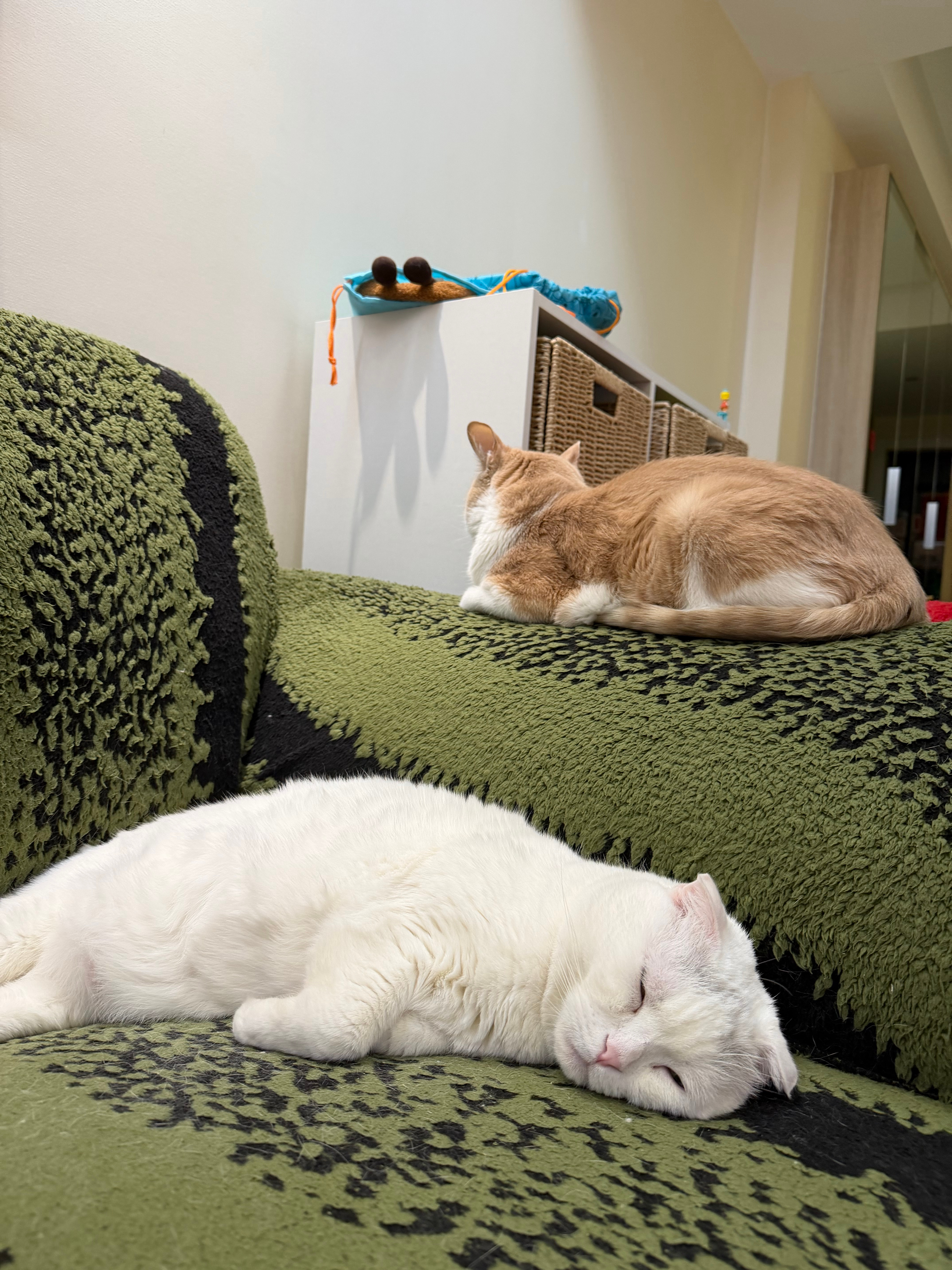 伙计们新年快乐不管在哪里 一定一定要自己快乐