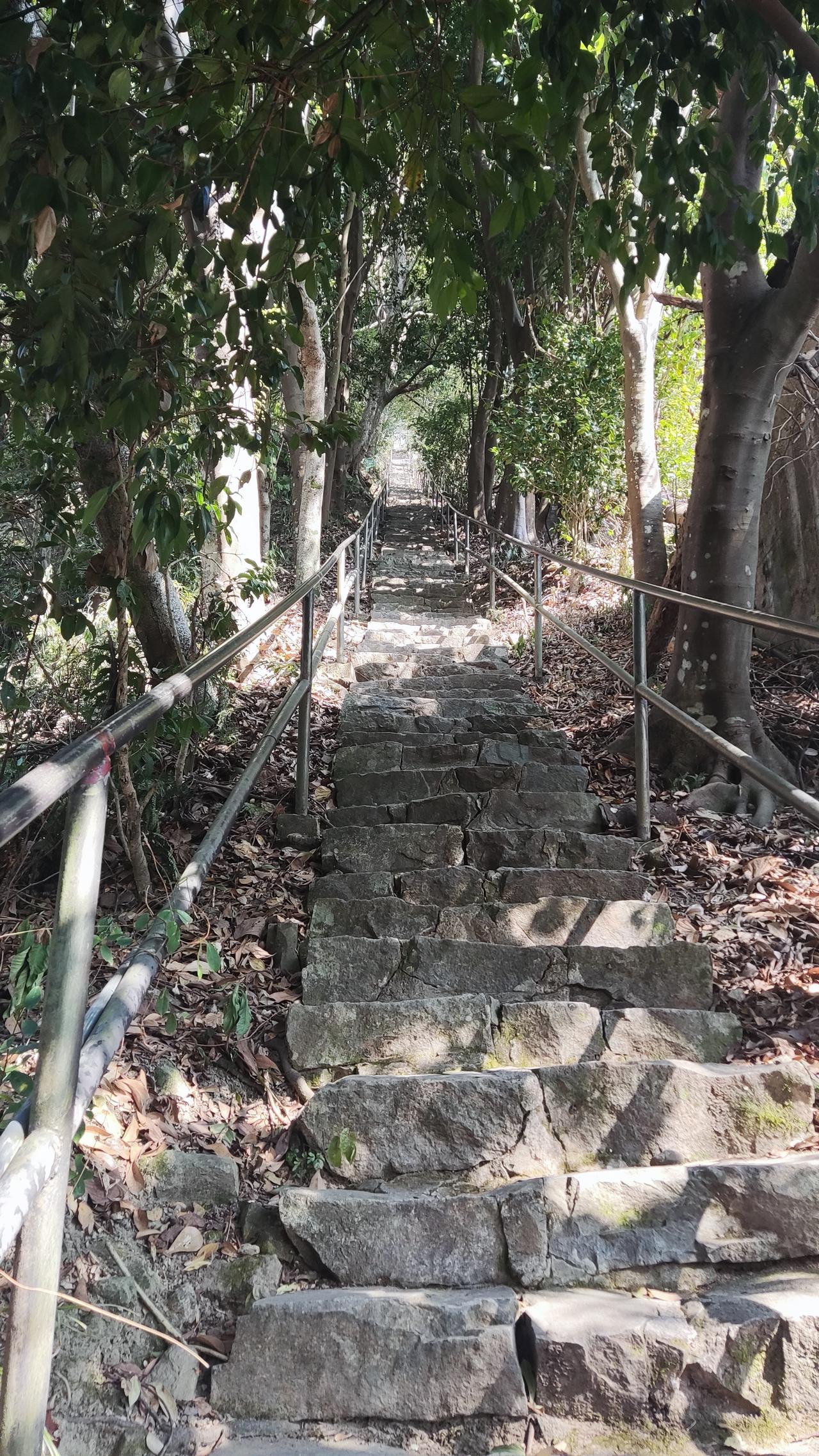 大寒是二十四节气中的最后一个节气，通常在每年的1月20日左右，标志着一年中最寒冷