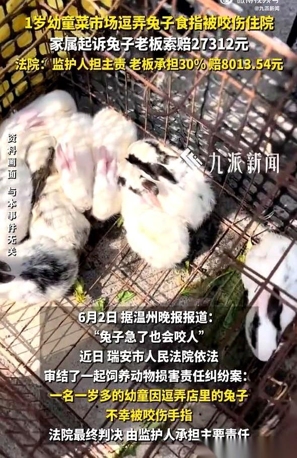 菜市场，柯某正弯腰在鱼摊前挑鱼，身后一声尖叫，她猛地回头。
就在几米外的活兔摊，