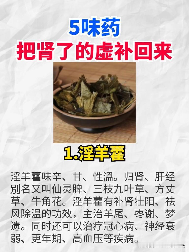 5味药把肾了的虚补回来
1.淫羊藿
淫羊藿味辛、甘、性溫。归肾、肝经別名又叫仙灵