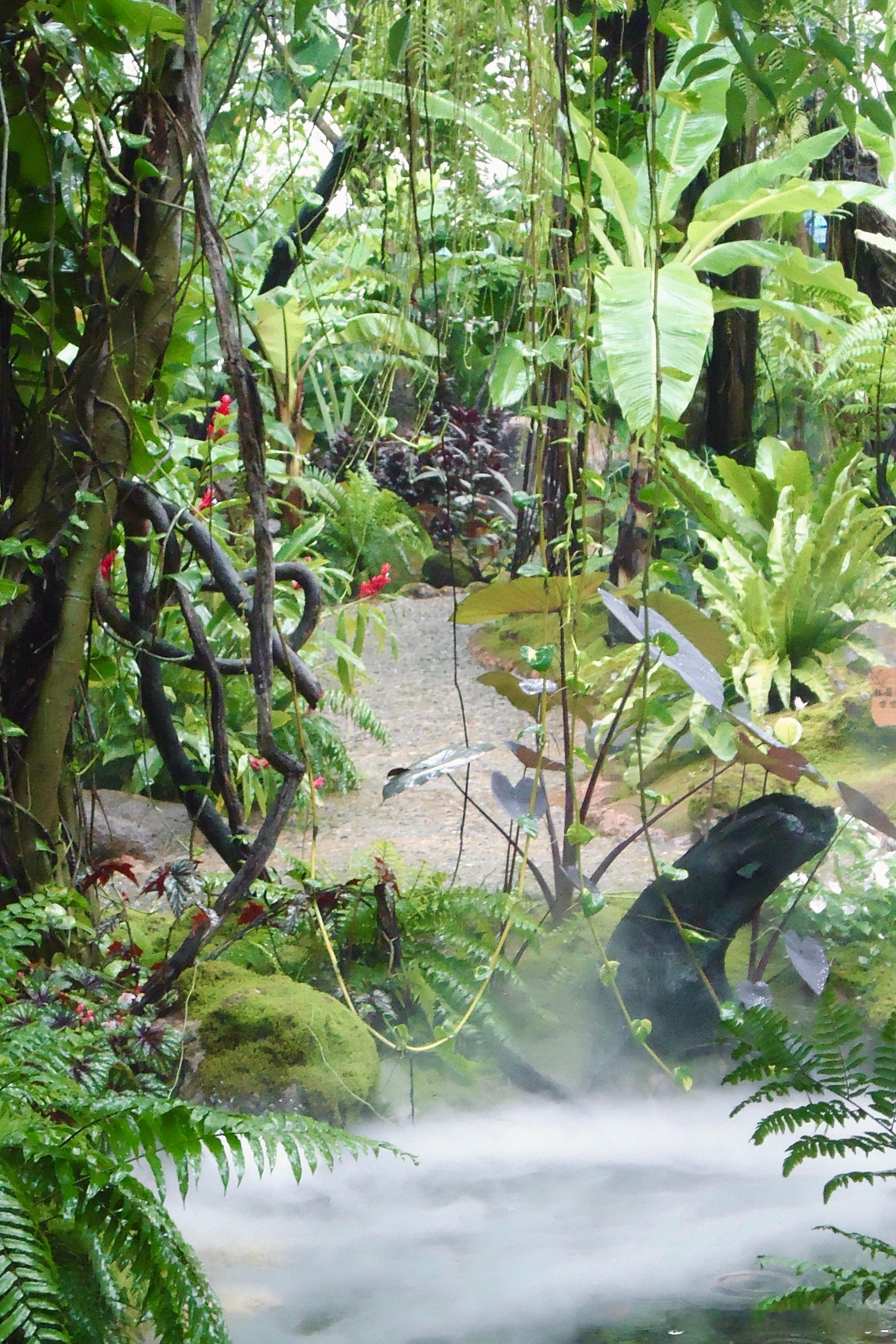 我们行走在雨水里穿着胶鞋 披着雨衣🌴 ​​​