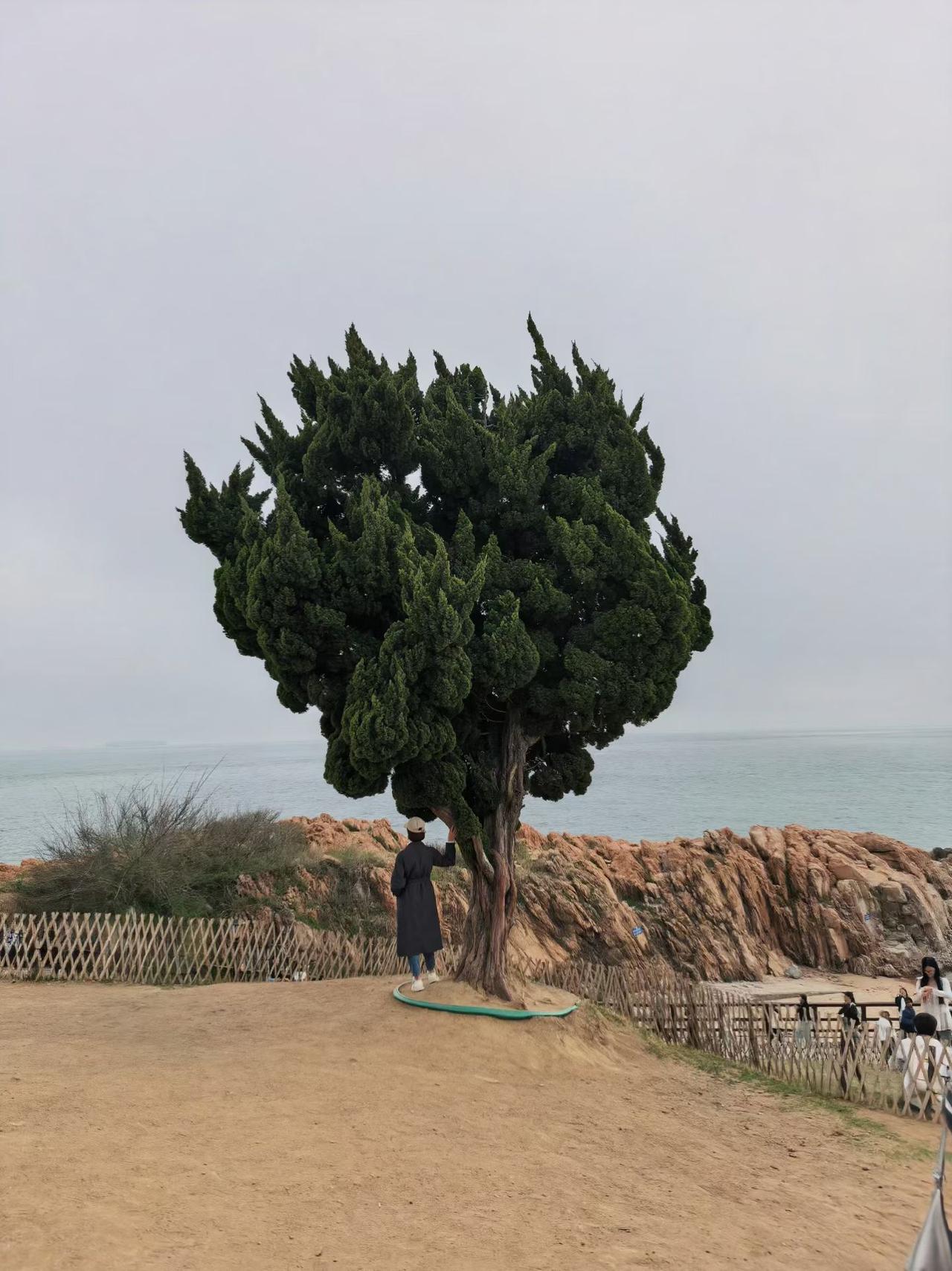 林黛玉的疏离感，不是情商和性格问题！
时间久了你就会发现，真正很好的人，往往都会