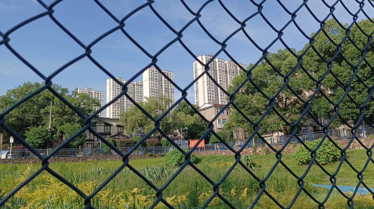 你能不能说出男足一个优点海参队