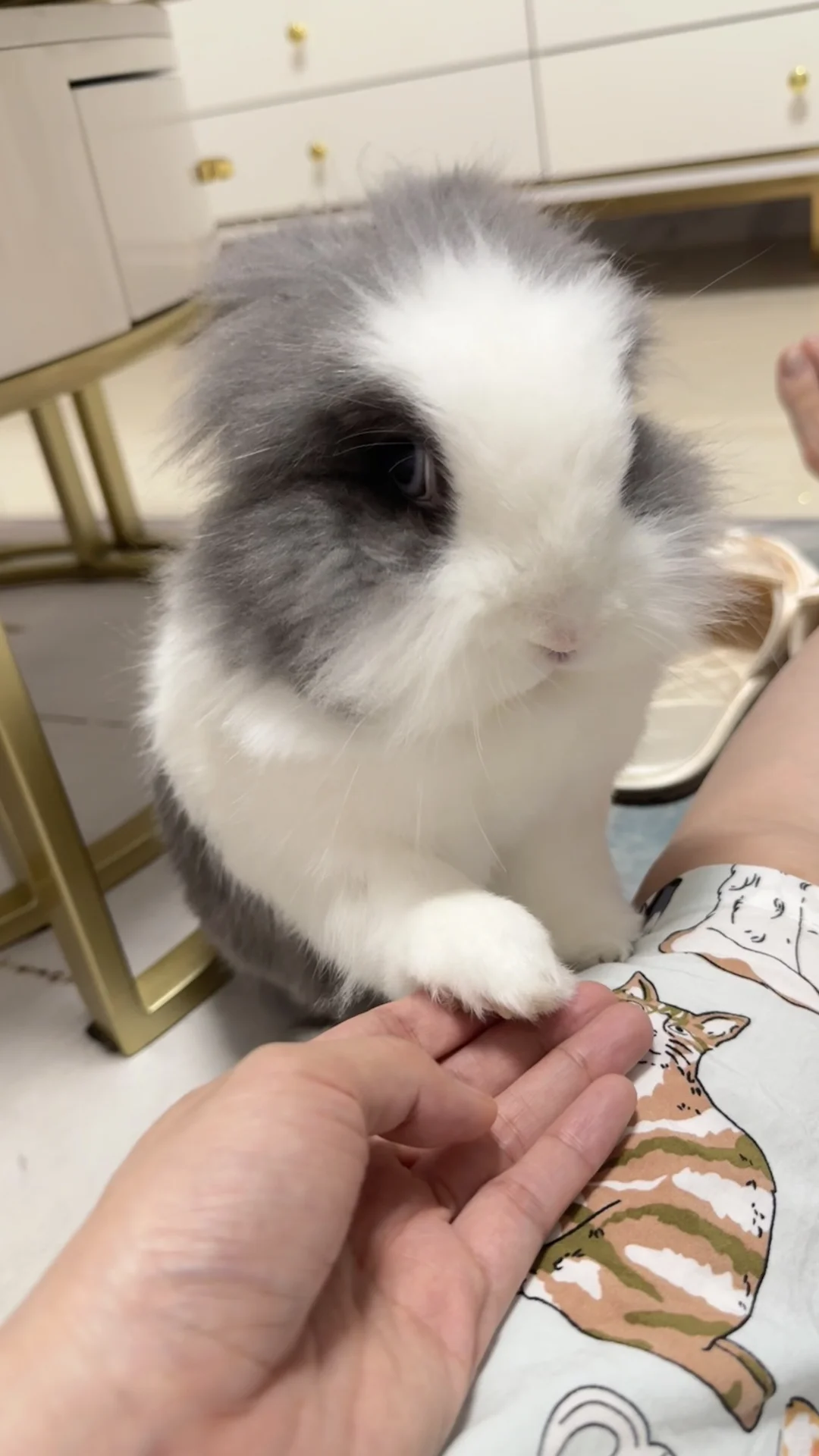 小主扶稳了。。