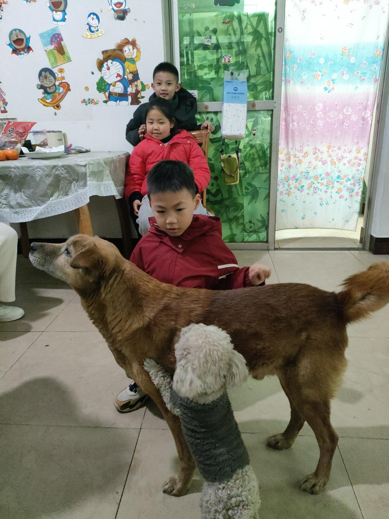 屋里孩童嬉笑热闹，身旁猫狗相伴温柔，烟火寻常的家常时光，满是无忧无虑的温暖与治愈