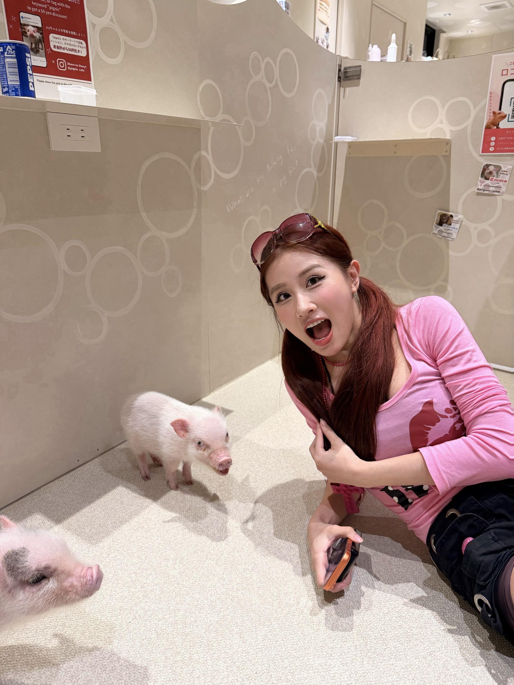 猪🐽猪。