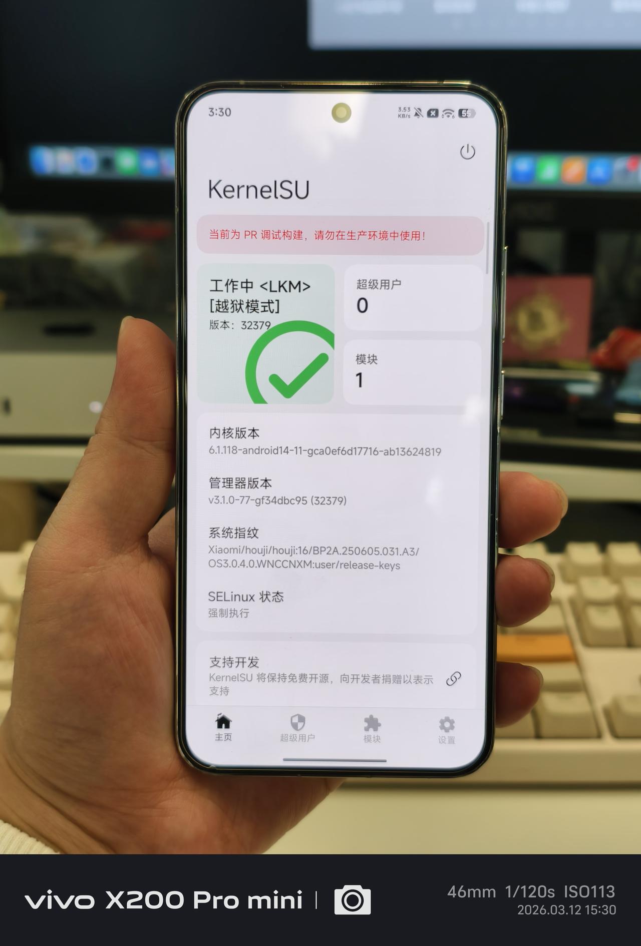 有生之年还能看到不解BL Root