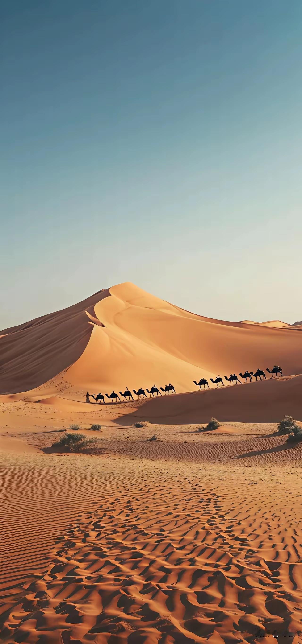 成事的底气
持续深耕认知
稳定落地行动
除此以外
全是空谈
愿你
手握核心能力