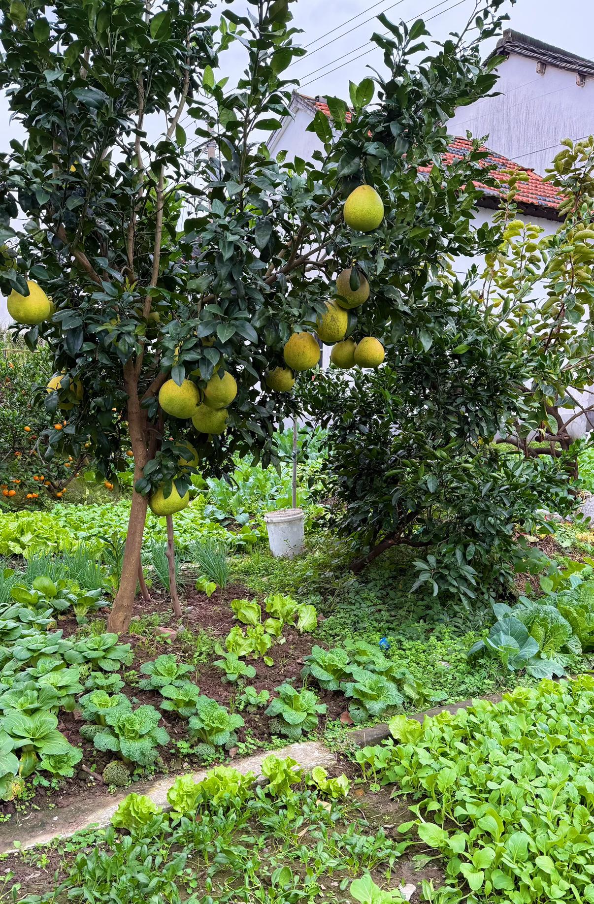 我的今日状态：😁轻松愉快
我这里的天气：☀️晴天