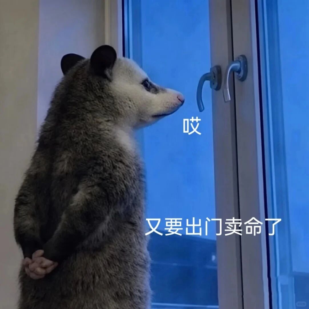 负鼠表情包 