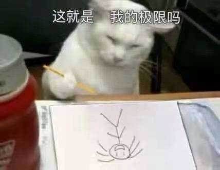 分享图片 