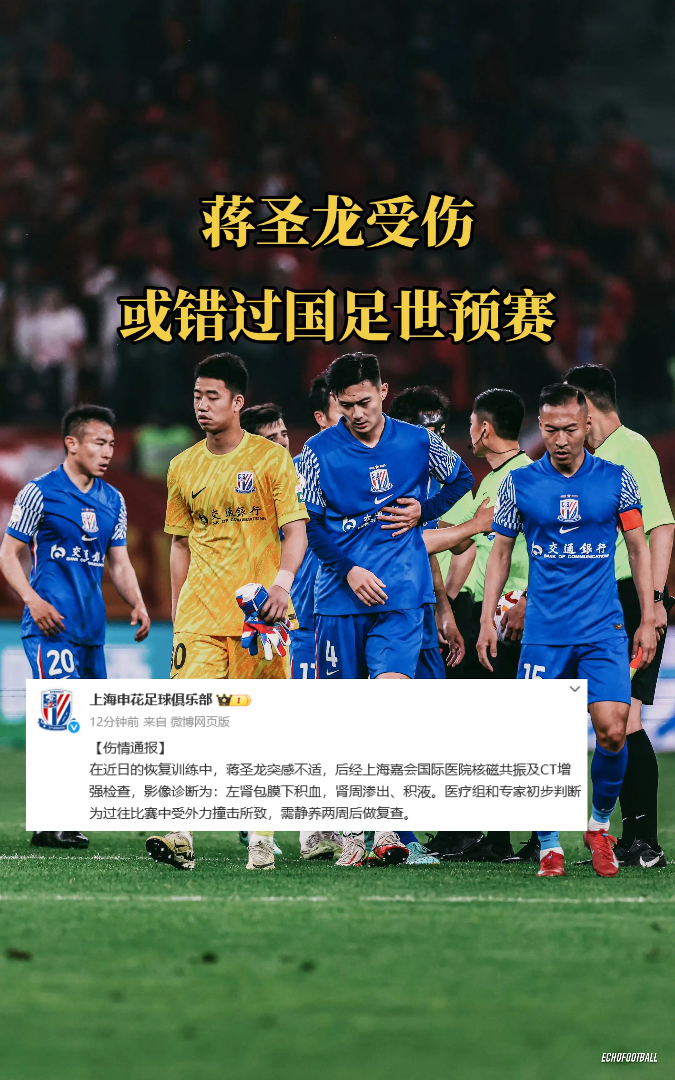 上海申花通报蒋圣龙伤情，将静养2周，或许错过国足6月份世预赛