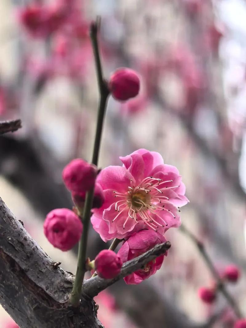 沈巍洗，
捡垃圾不是一种爱好，
白岩松，
说的不对。
沈巍没有捡垃圾癖。
他说他