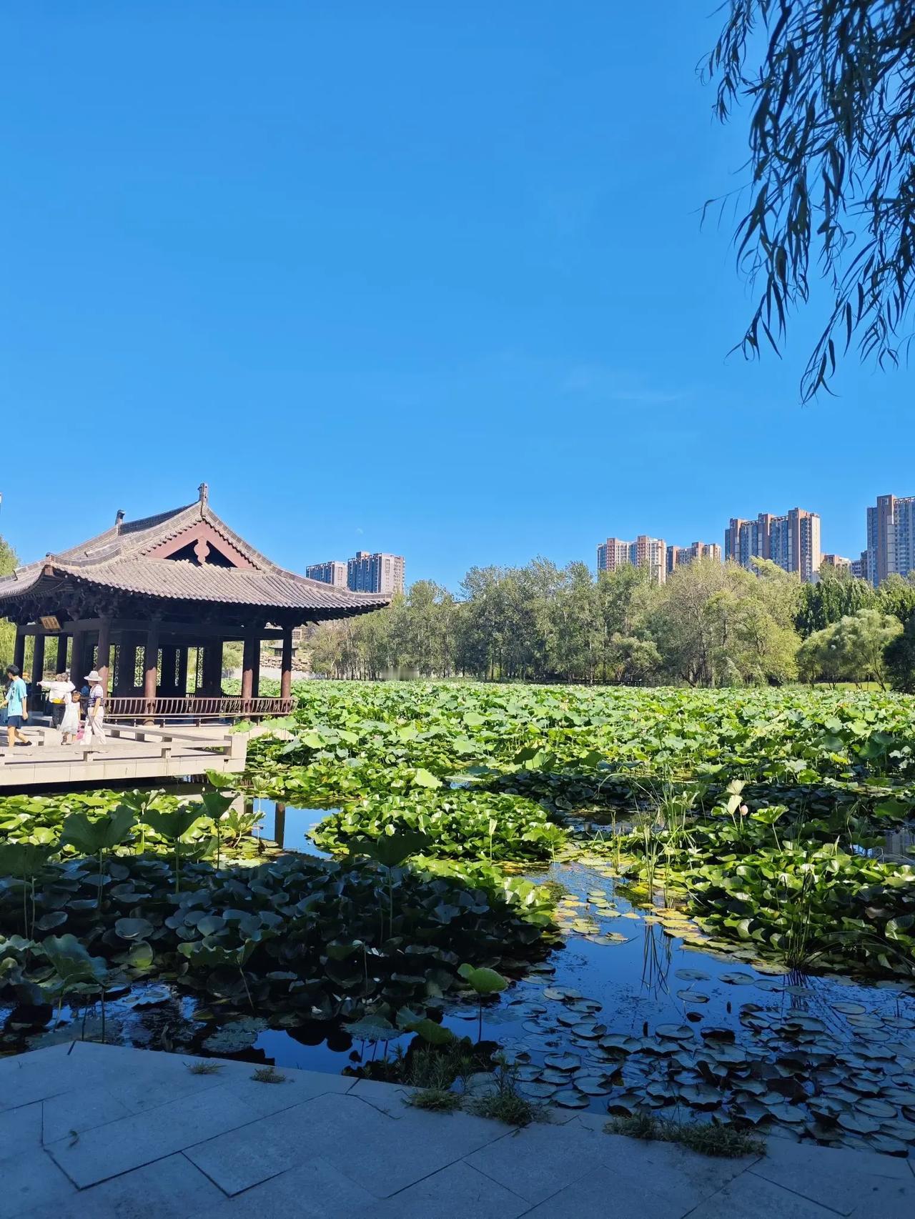 函谷关，秦孝公时建，公元前361-338年之间，老子出函谷关只能说明其为商鞅同时