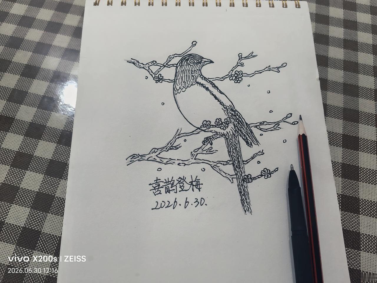 绘画的魅力,感受到了吗?“喜鹊登梅”闲人爱动书画。