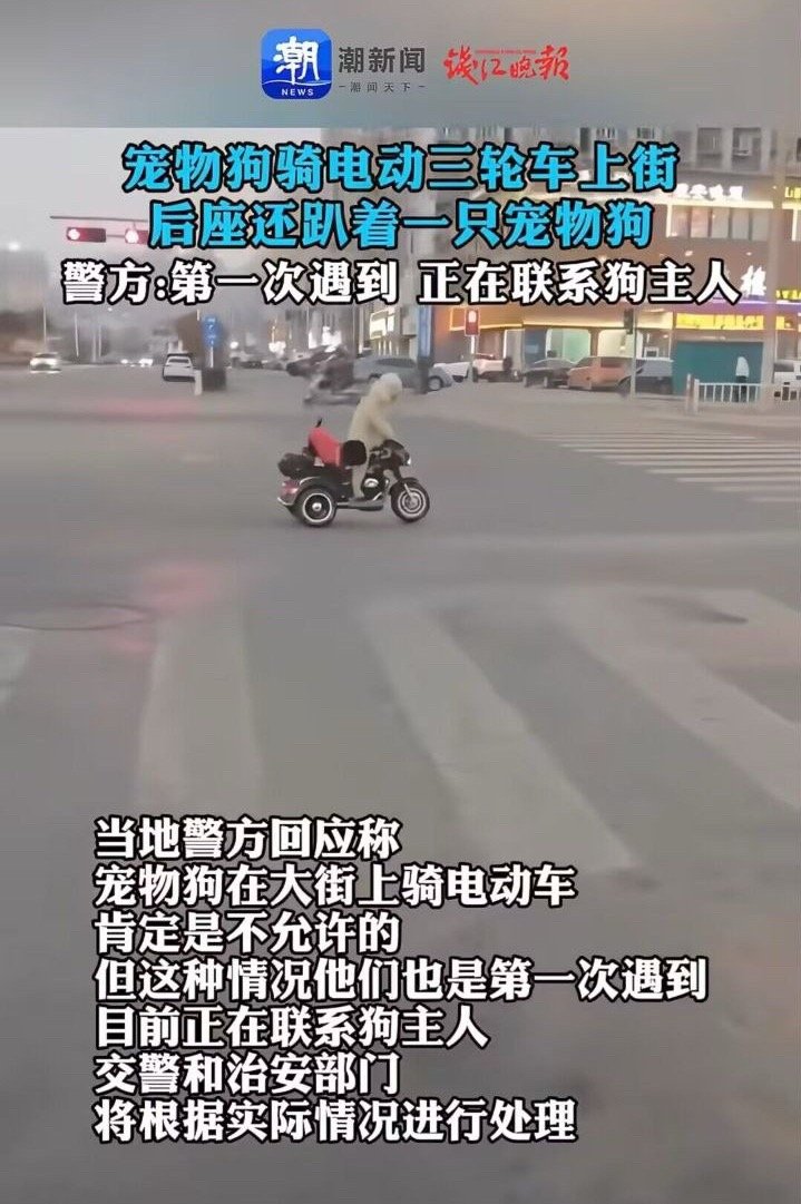 莪出门啦✨✨ ​​​