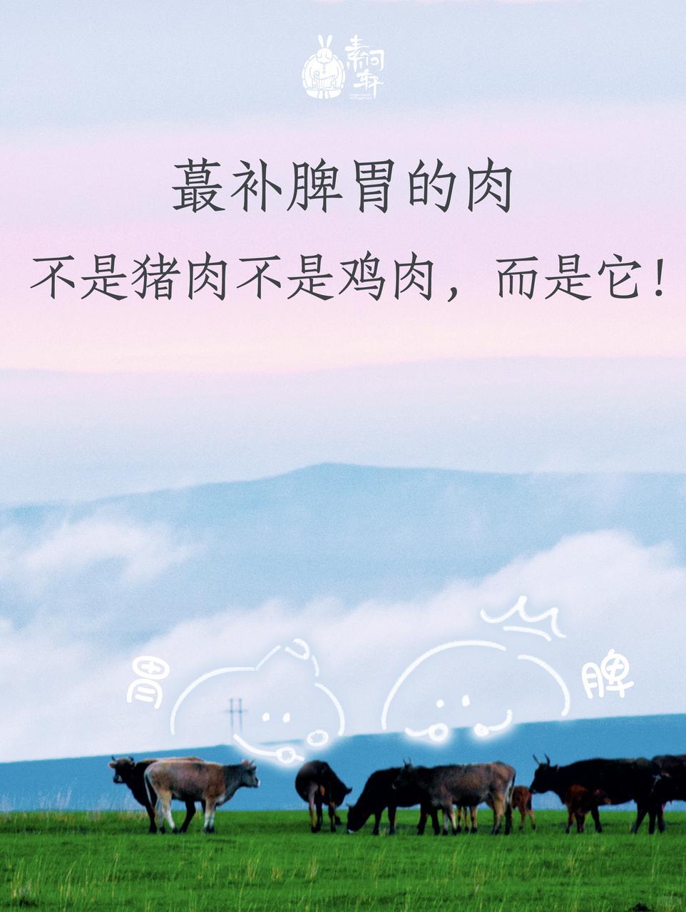 脾胃蕞喜欢的肉‼️坚持吃一个月，亲测有效