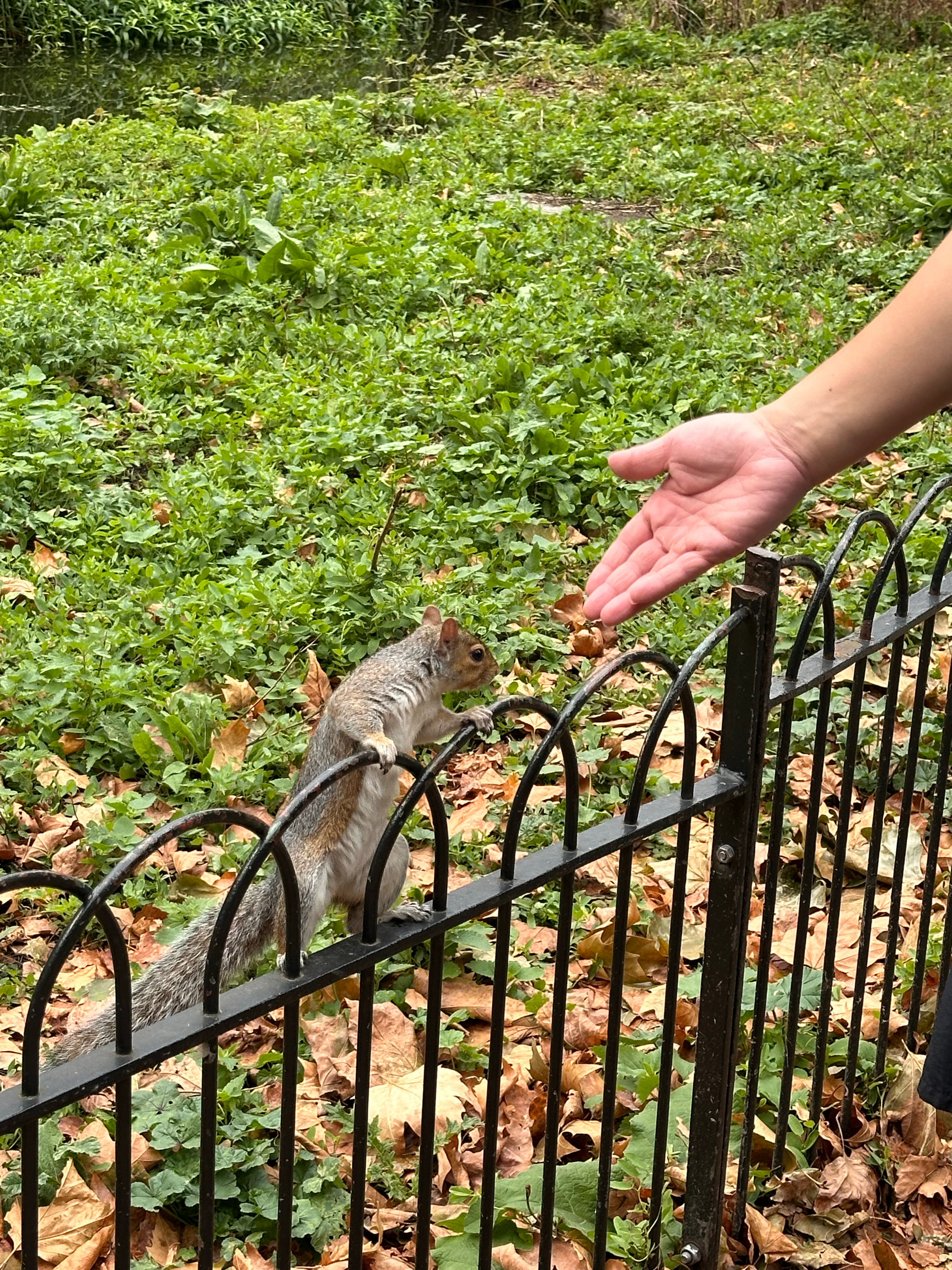 哥哥在身边的日子胃口和心情都饱饱的和敦敦的家人们一起暖房party & 中秋麻薯
