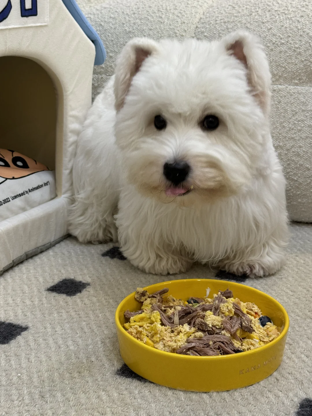 回武汉改善伙食啦