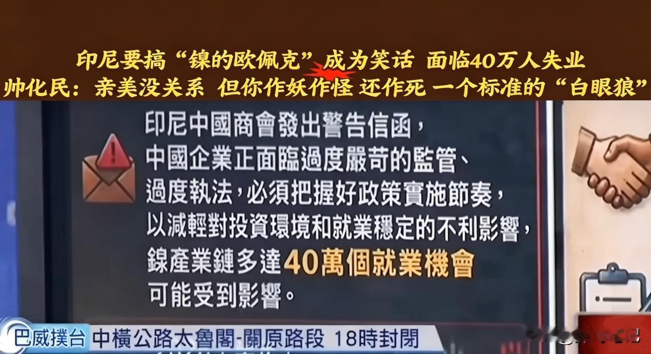 印尼这波操作，真是教科书级“自毁长城”。印尼守着全球最大的镍矿储量，以前啥也干不