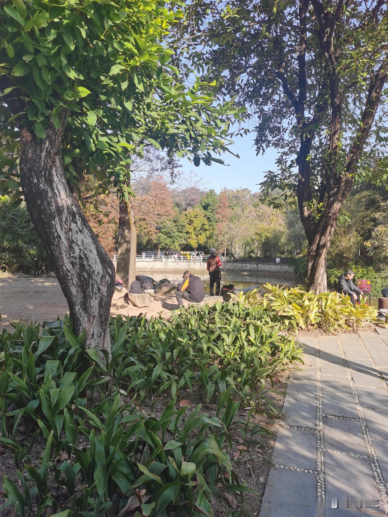 公知殖人，给美国梦梳妆打扮，说的一些似是而非的言论，值得警惕。比如科技无国界，什