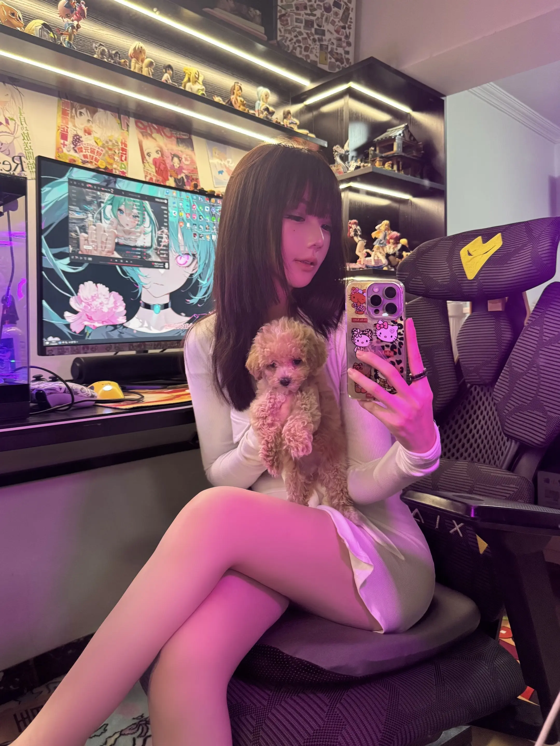 好好看看我的脸 像是会像命运低头的女人吗 我只会低头看看我的狗狗狗