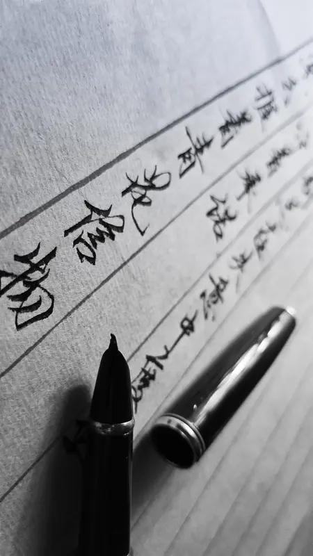 “喜怒哀乐写岁月”，对“悲欢皆成墨，落笔即余生”，很有意境。它把人生的悲欢化作墨