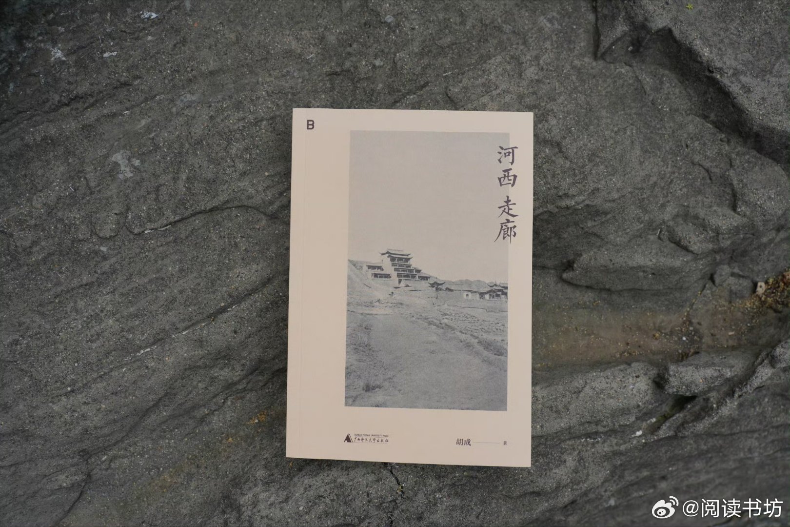 我的私人宝藏书单书评阅读使我告别迷茫 📚《河西走廊》出版：出品：一部融历史考证