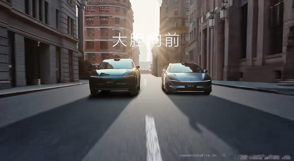 智界品牌两周年了，智界这牌子一路走来感觉还是有很多磨难的，今年也是完成了第一个1