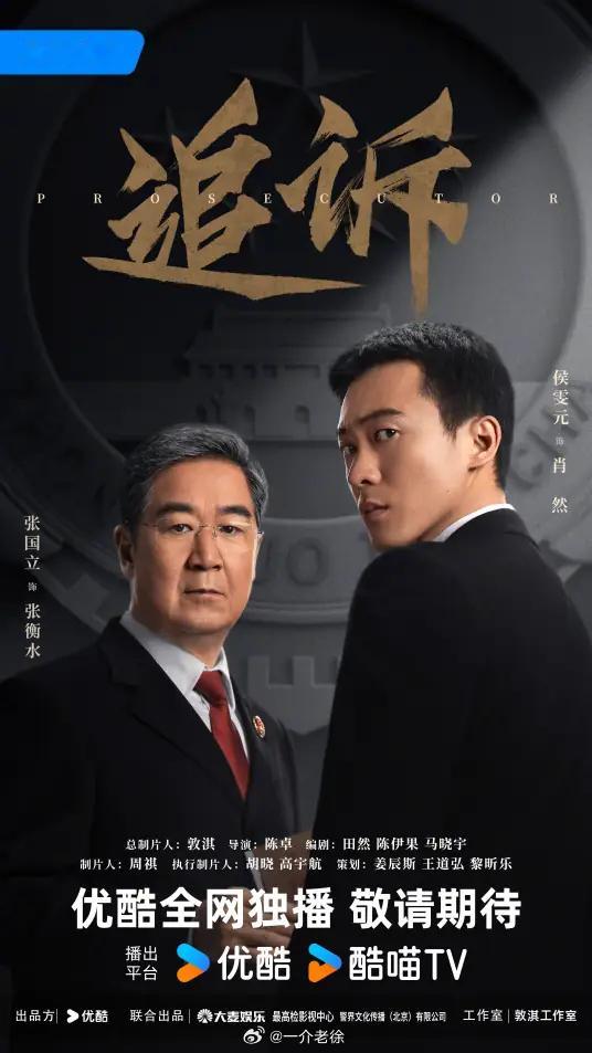 流水账《追诉》 《追诉》讲述了2002年，平津市检察院年轻检察官肖然在审查起诉一