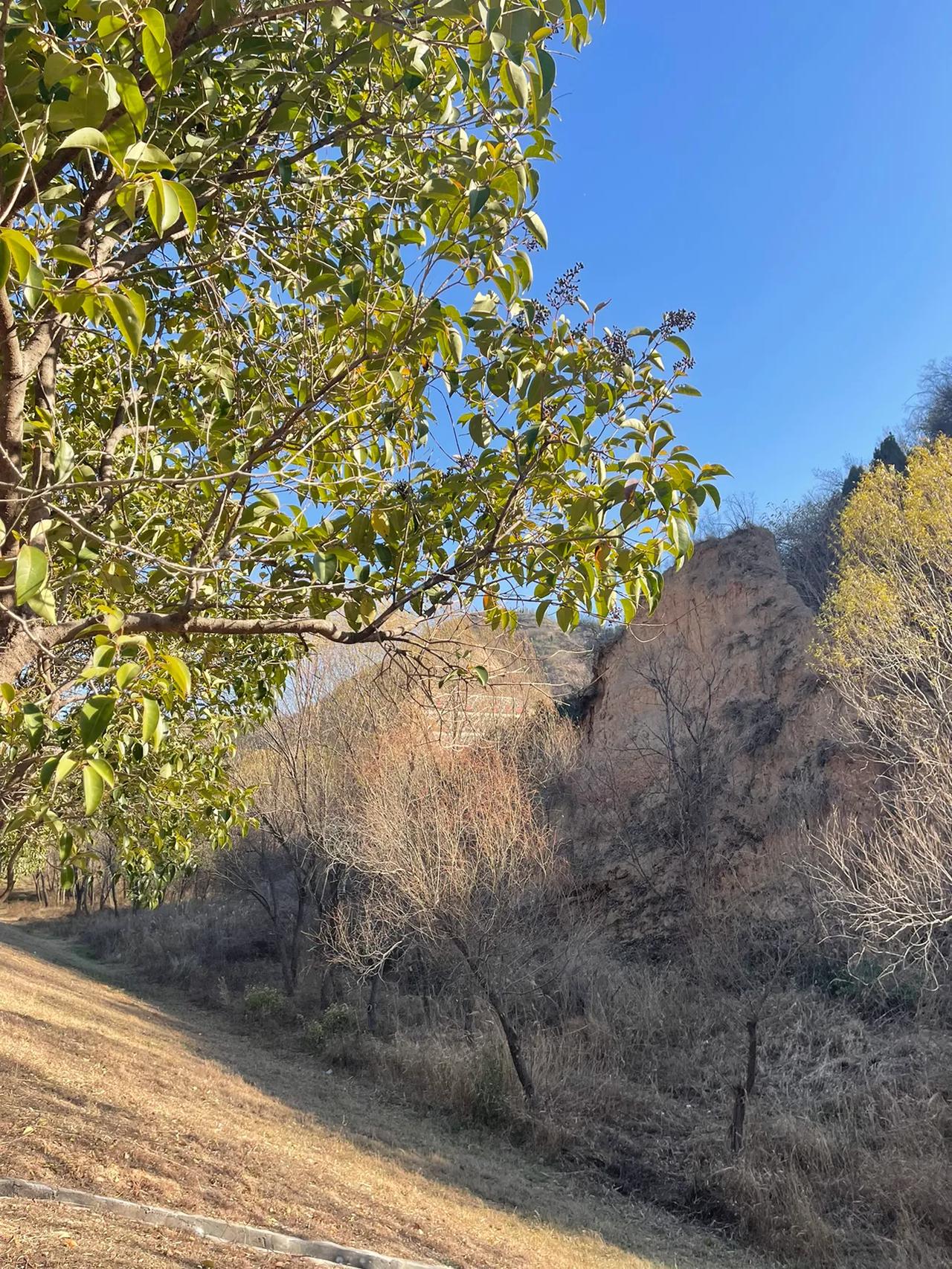 连续两个周末都去看了黄河，长时间不看山，这心里堵得慌，即刻出发，看山去。

巩义