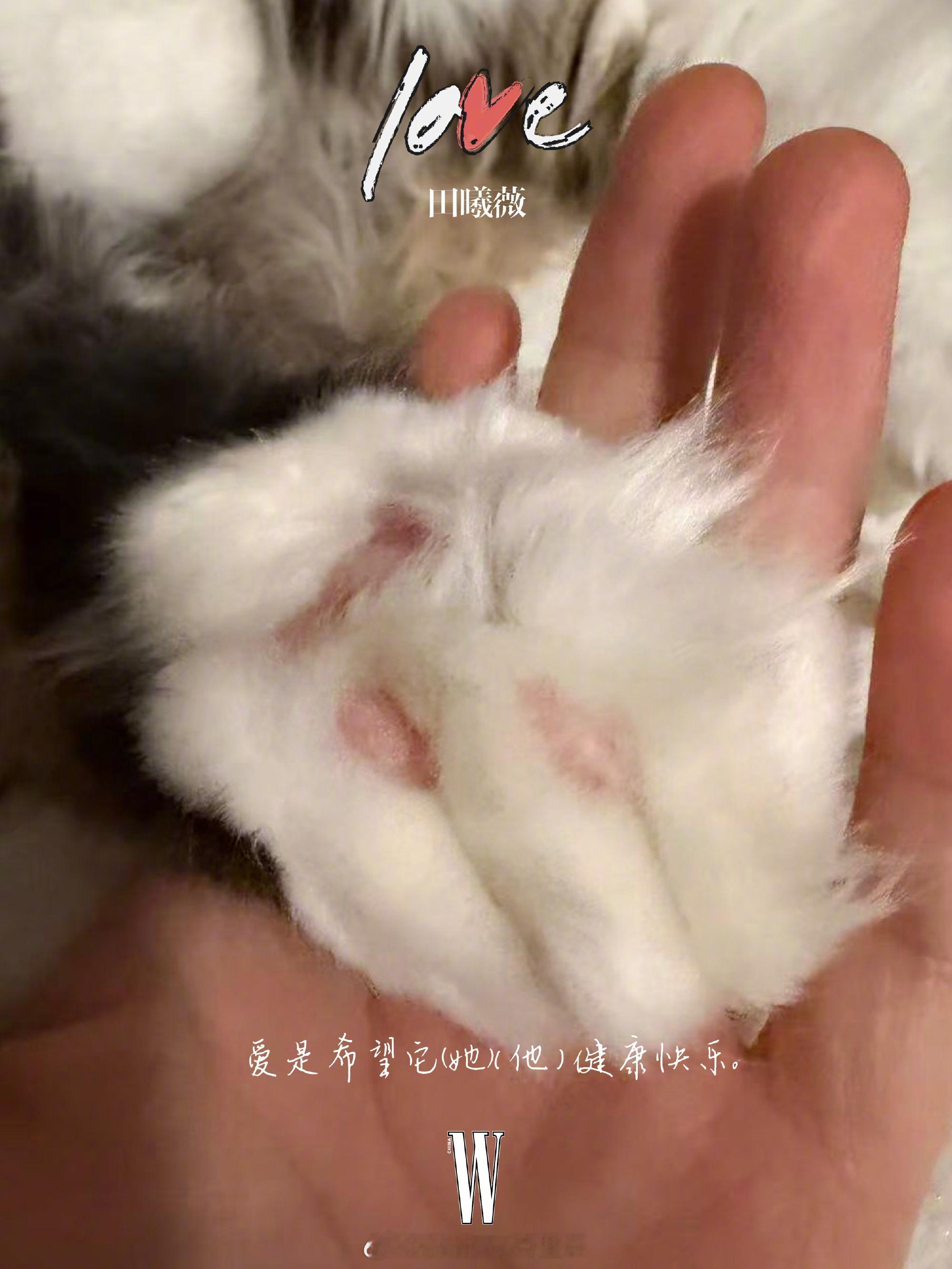 深爱表演与音乐的TA们，最难忘的爱的瞬间是？又是谁将登上W Magazine新刊
