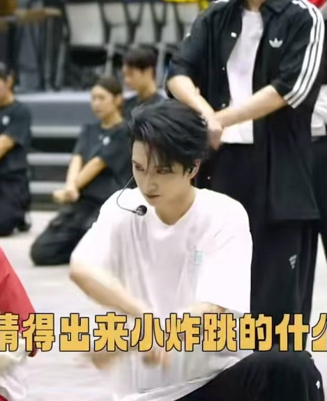 为什么又有理想之途？？为何还有跪地动作一次又一次看不见是吧网页链接，严浩翔因为理