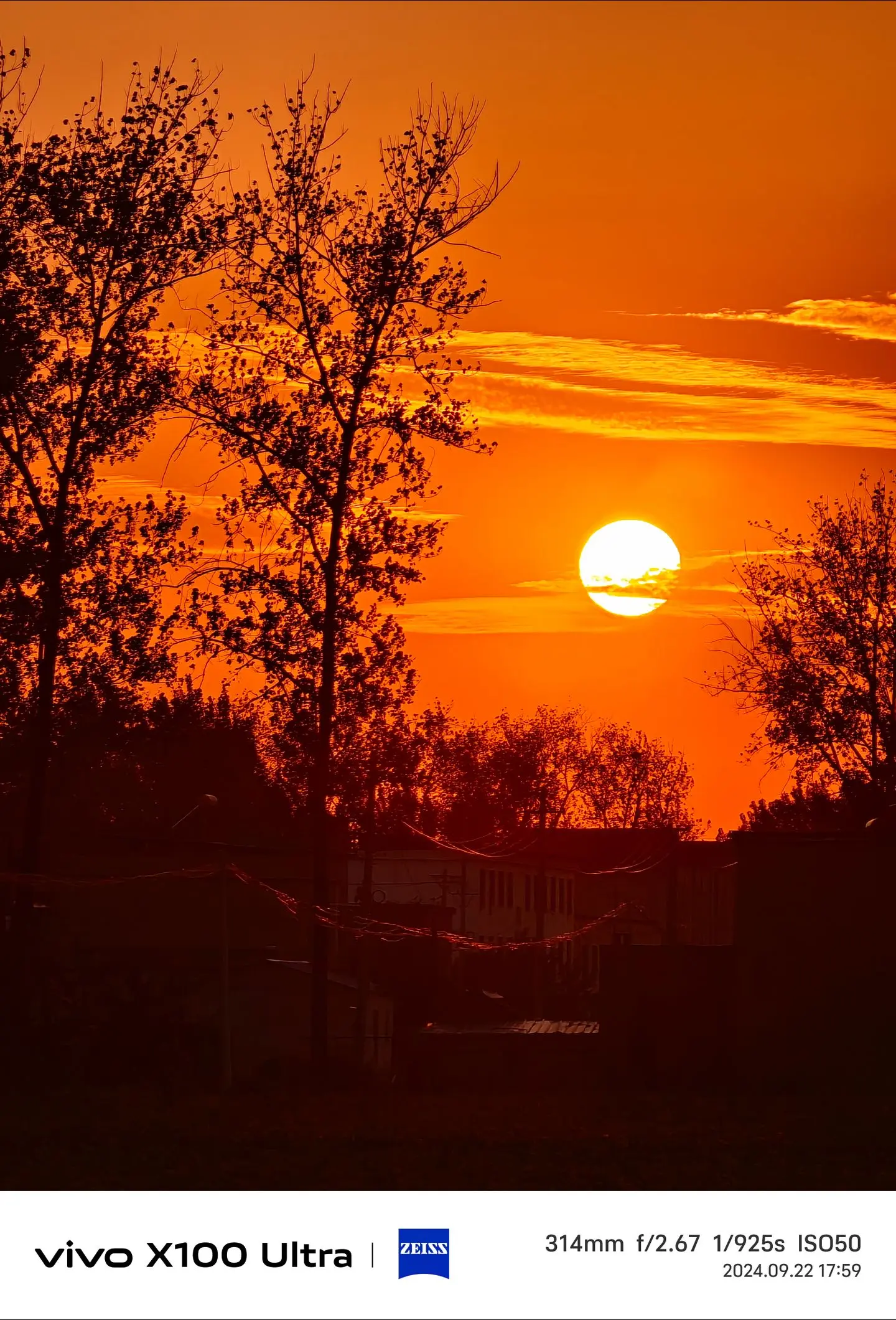 落日余晖映晚霞一抹夕阳美如画 一叶知秋 秋意浓