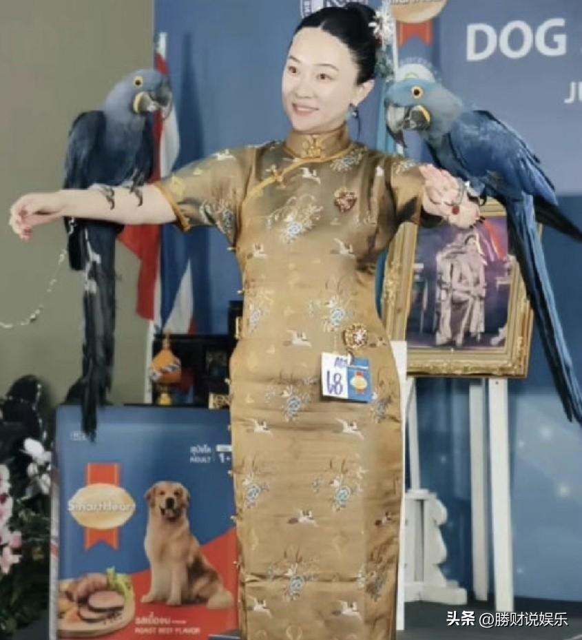 霍思燕宠物一月内连夺两冠，网友戏称其可执教国足。
2026年7月8日至10日，演