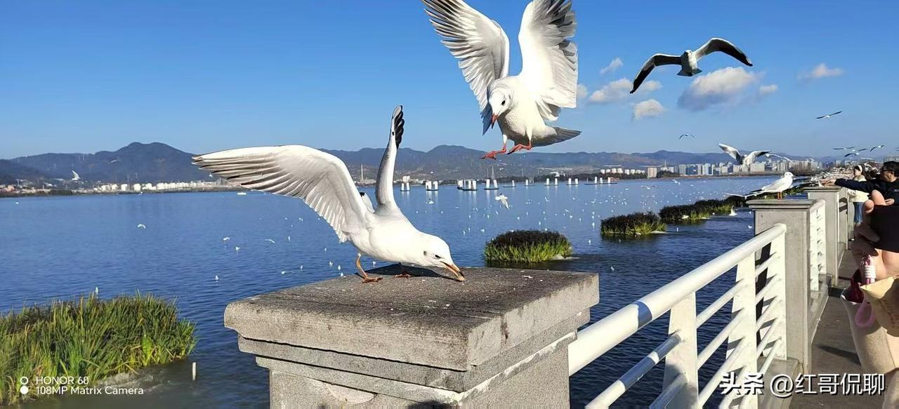 和喜欢炫耀的人打交道，核心是保持礼貌边界，不迎合不抬杠，减少自身情绪消耗。
 