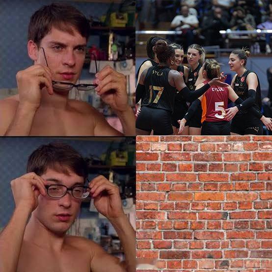 女排土超 加拉塔萨雷客场3比1逆转阿拉斯货运，全队拦网共得到21分，其中王媛媛 