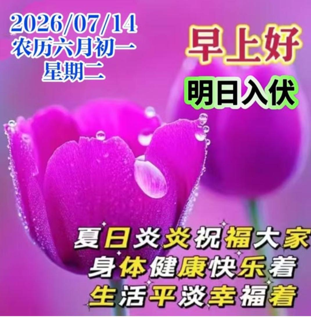 夏日炎炎气温高，
问候声声情意长；
夏季养生很重要，
平安健康心舒畅；
注意精神