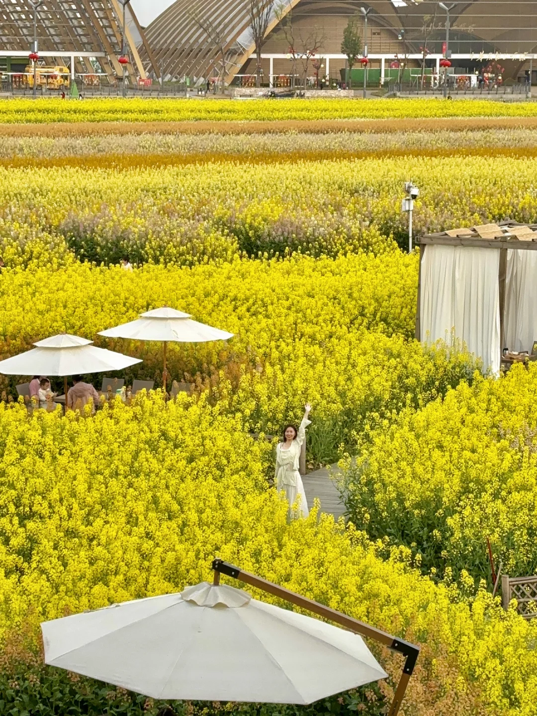 成都的春天，太拿得出手了！！！