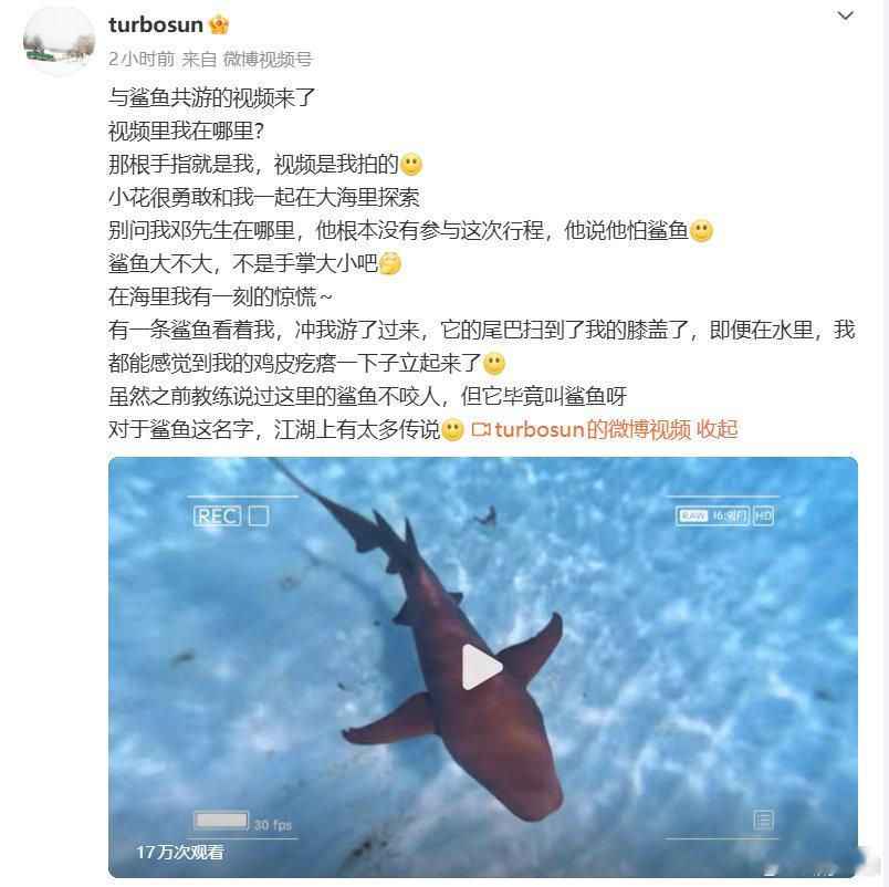 孙俪带小花浮潜 孙俪带小花浮潜，好勇敢的母女俩！孙俪晒与小花浮潜视频