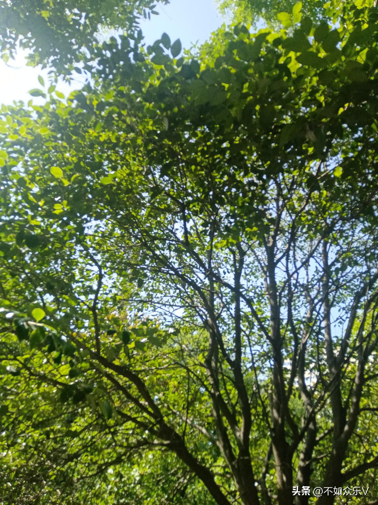运气不好！
这个月马上又亏5000块！收盘亏680！
有四个票是红的，一个是绿的
