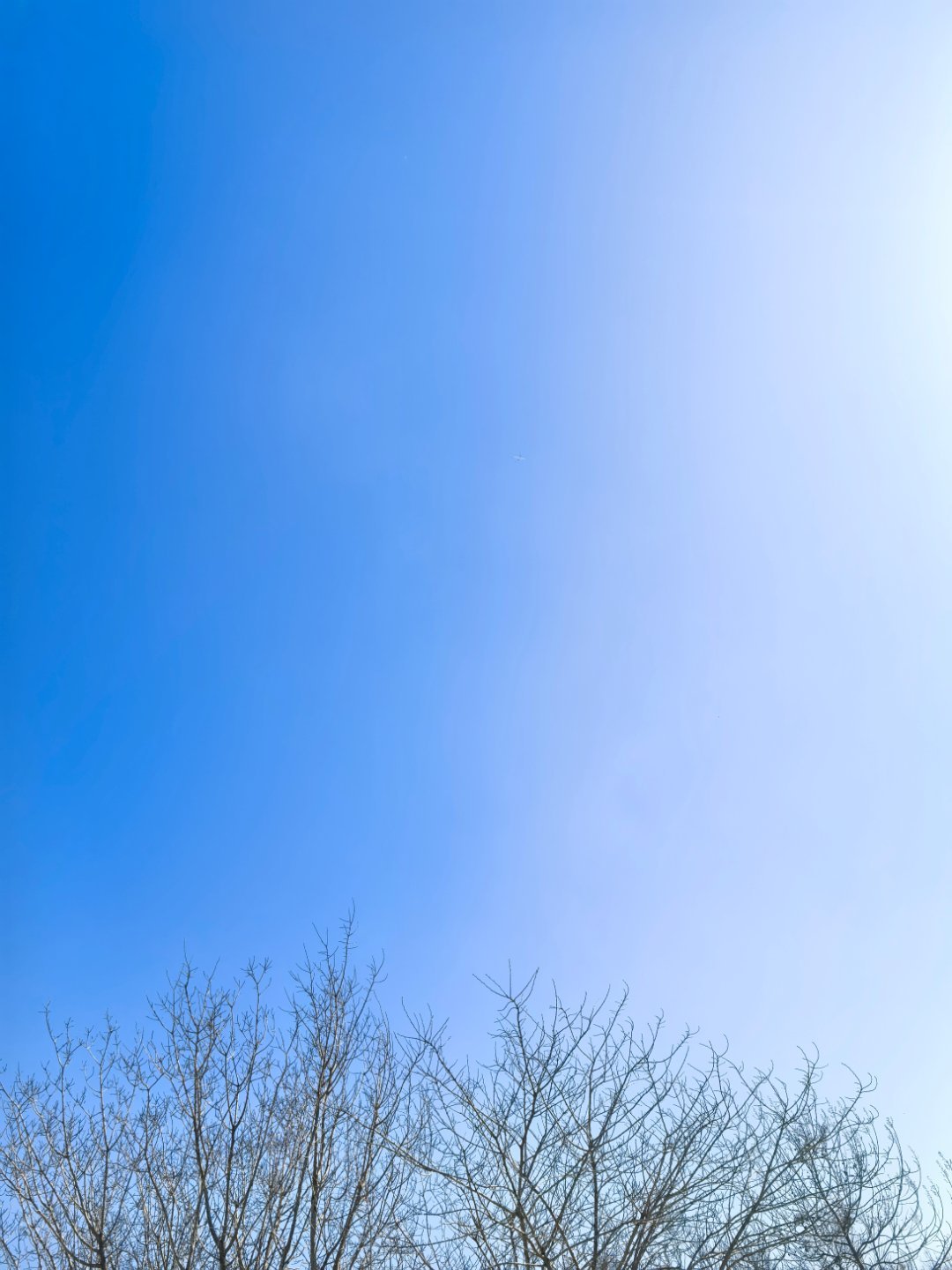 外面透透气走走真服气这蔚蓝的天空真清爽啊，就是出多了有点热啊！ 