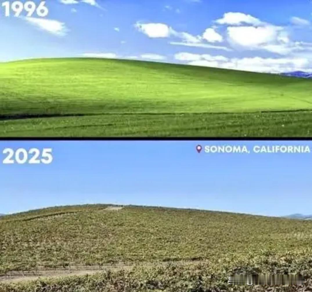 以前桌面画面是大草原，现在是葡萄园[捂脸]