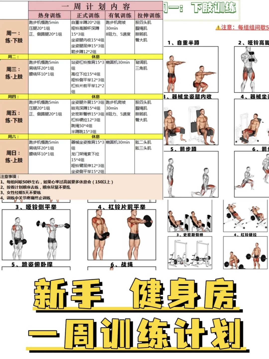 新手健身房一周训练计划！附带详细教程