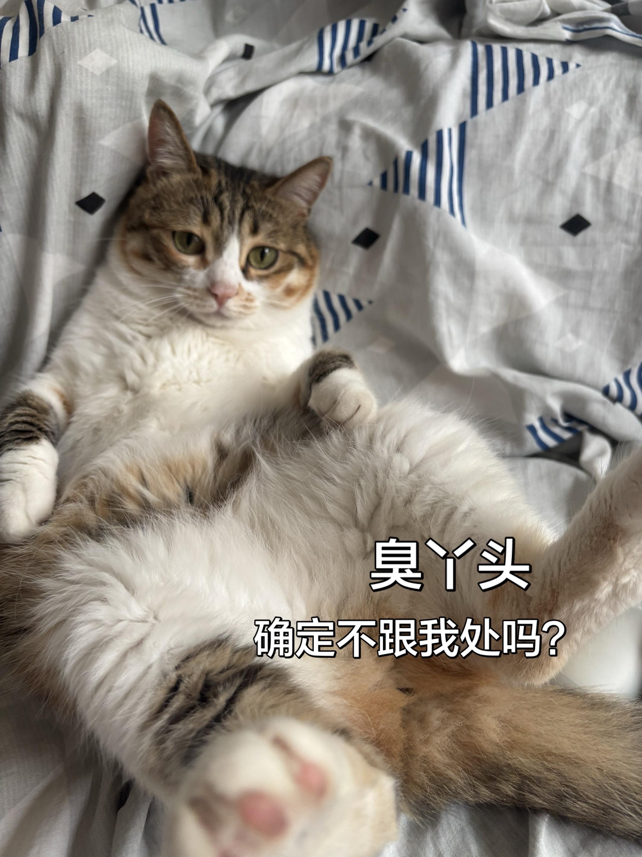 跟咪处吗？