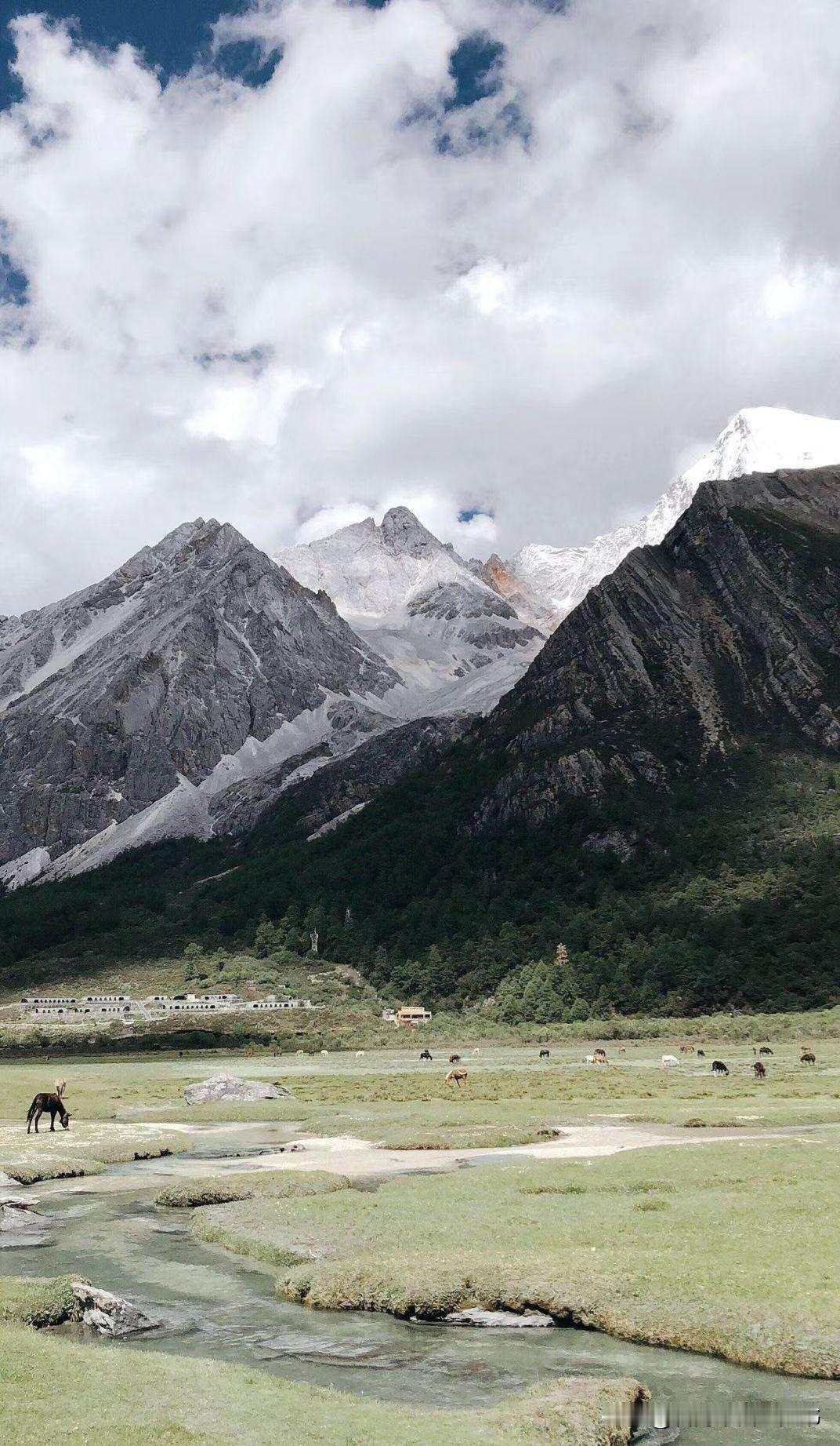 泽连斯基在慕尼黑的演讲，其实已经打了欧美的脸。他说：乌克兰不想当英雄，世界不能躲