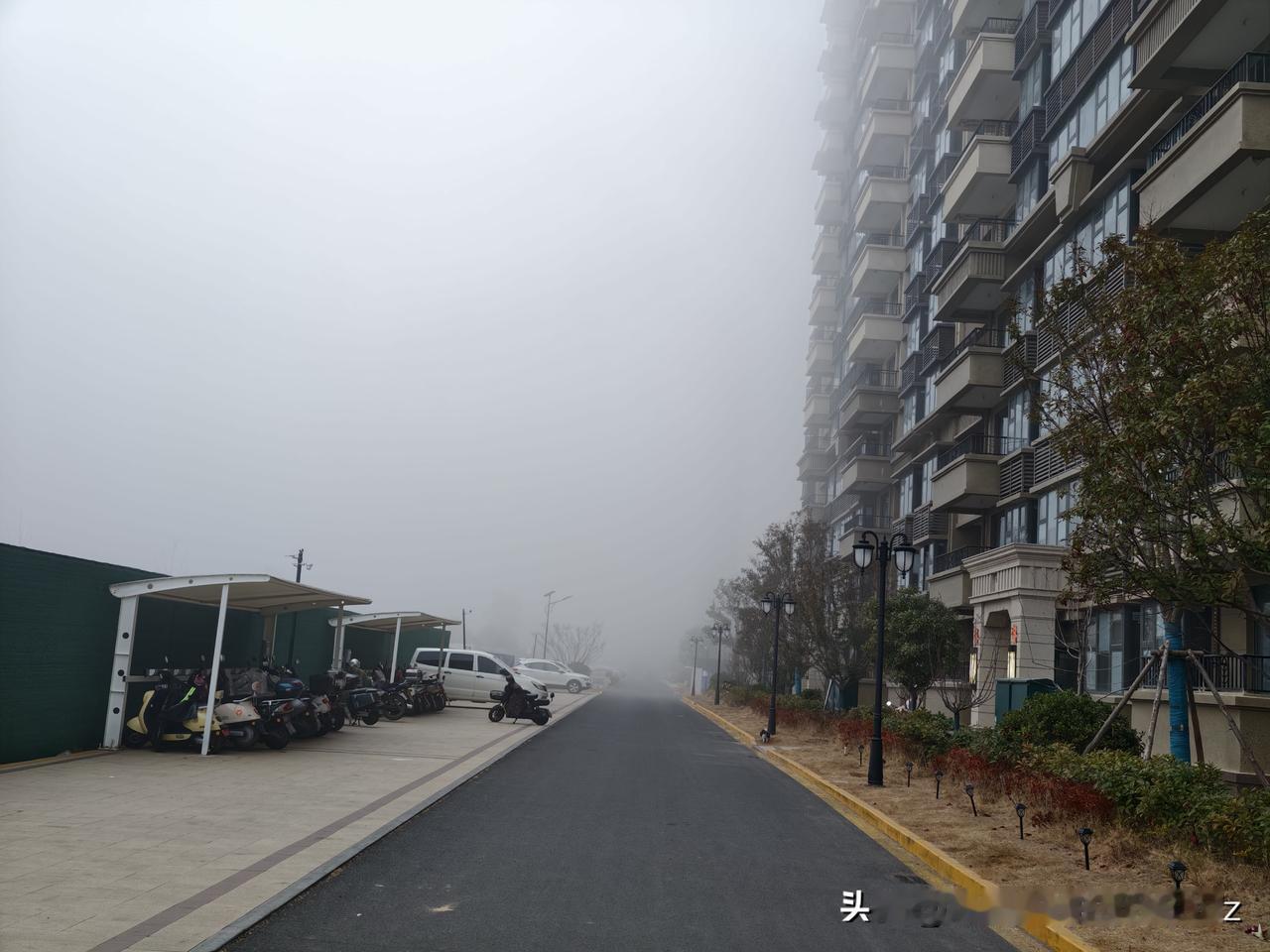 今天是金碧物业走后的第77天。

早晨浓雾遮天蔽日，晚上风起云涌一般的雾霾，像下