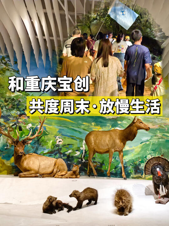 和重庆宝创一起‼️周末遛娃🎉🎉